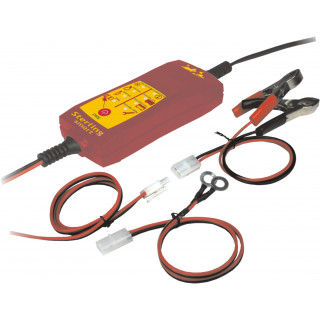 GLOBAL SMART CHARGER